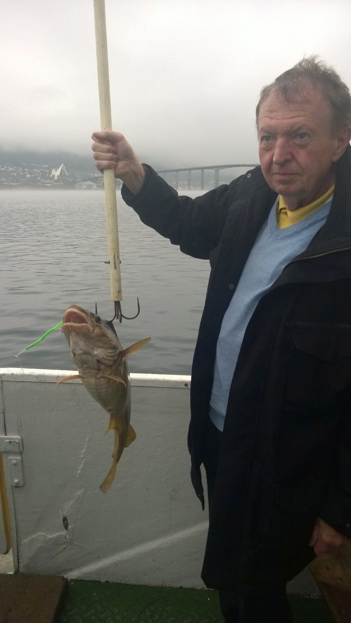 2014 KO Tromso fish