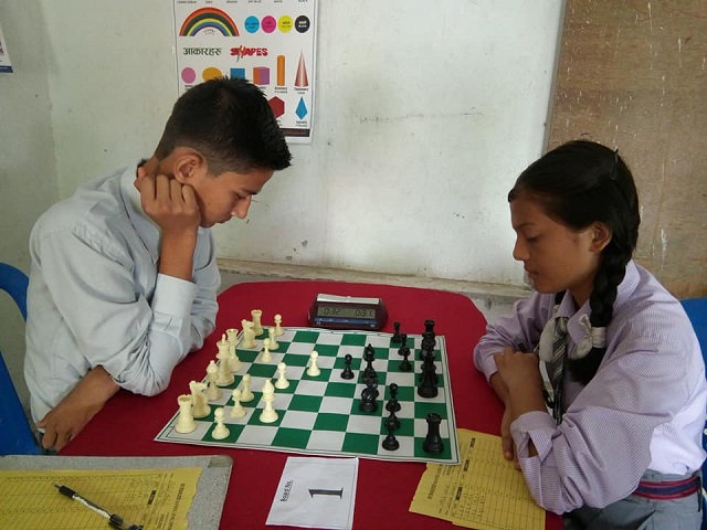 Sunshine Open School 4