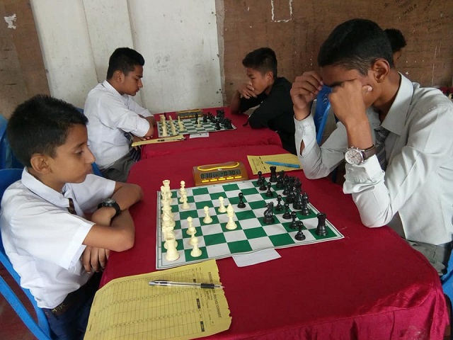 Sunshine Open School 6