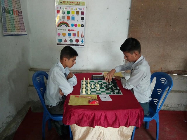 Sunshine Open School 7