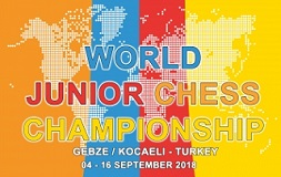 wjcc2018 poster