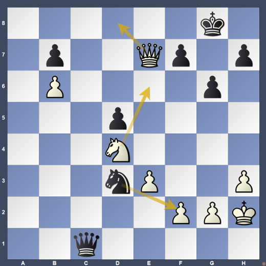 D04-DG01 D04-DG01