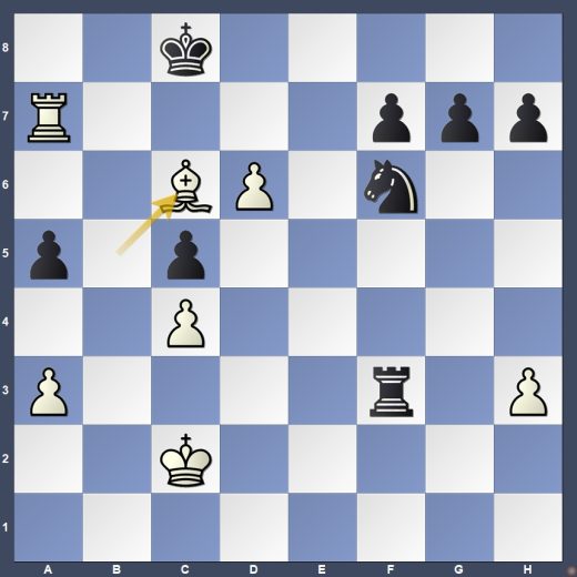 D10-DG02 D10-DG02
