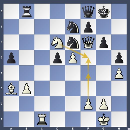 D11-DG01 D11-DG01