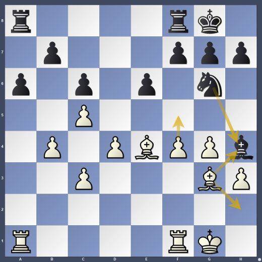 D14-DG04 D14-DG04