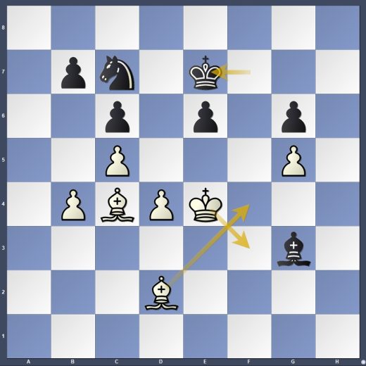 D14-DG05 D14-DG05