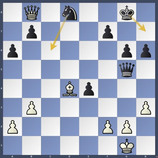 D19-DG02 D19-DG02