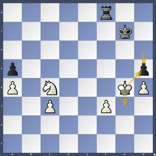 D19-DG06 D19-DG06